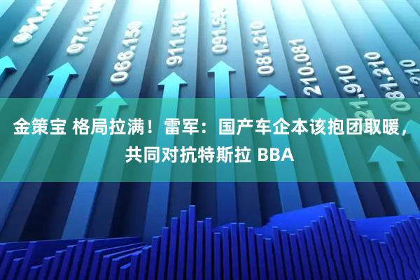 金策宝 格局拉满！雷军：国产车企本该抱团取暖，共同对抗特斯拉 BBA