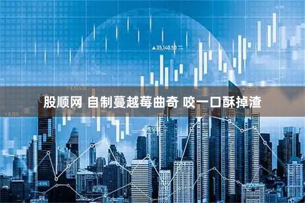 股顺网 自制蔓越莓曲奇 咬一口酥掉渣