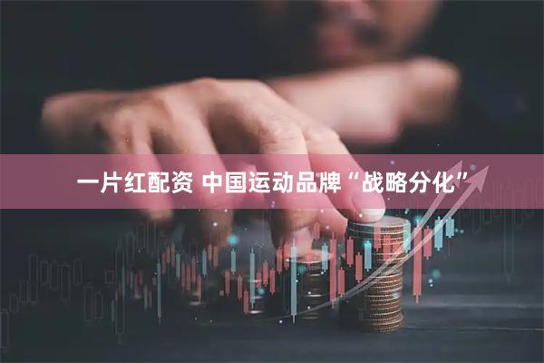 一片红配资 中国运动品牌“战略分化”