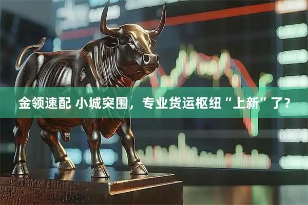 金领速配 小城突围，专业货运枢纽“上新”了？