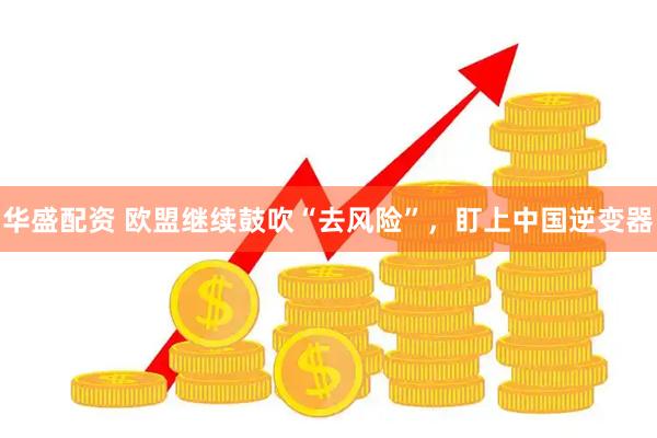 华盛配资 欧盟继续鼓吹“去风险”,盯上中国逆变器