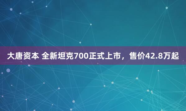 大唐资本 全新坦克700正式上市，售价42.8万起